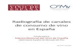Radiografía de canales de consumo de vino en España...Informe final sobre el consumo de vino en España ... un dato a tener en cuenta por ser un canal de extraordinaria importancia