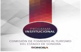 PRESENTACIÓN - Plataforma de Información para la ...estrategia.sonora.gob.mx › images › ... › TURISMOParte1.pdf · • Norma oficial Mexicana NOM-011 – TUR/2001 (Regulación