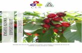 ADAMA 5 201 - CERestudios.ceresearch.com/upload/pdf/Ensayo-Adama-d40412cfeb1a9f… · Se utilizaron plantas de cerezo (Prunus avium) cv. Lapins, injertadas sobre patrón Maxma 14,