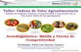 Presentación de PowerPoint...Autodiagnóstico: Matriz y Patrón de Competitividad Taller: Cadena de Valor Agroalimentaria Análisis de Cadenas, Clusters, Competitividad e Innovación