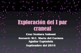 Exploración del I par - WordPress.com...los pares craneales. Universidad de Ictus: Sección de Neurología; 2011. pp 65-67. Created Date: 9/12/2018 2:30:23 PM ...