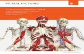 Oferta de Colección Total - Anatomy.tv · Este producto interactivo contiene una amplia biblioteca con más de 75 animaciones que representan muchos movimientos habituales, tales