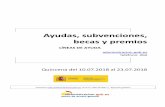 LÍNEAS DE AYUDA - WordPress.com · 2018-07-11 · que se recogen las convocatorias de . líneas de ayuda, de subvenciones, de becas y de premios, registradas en las bases de datos