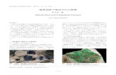 Minerals Discovered in Kagoshima Prefecture...― 71 ― 鹿児島県立博物館研究報告 第37号：71−72，2018 鹿児島県で発見された鉱物 多久島 徹1 Minerals
