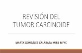 REVISIÓN DEL TUMOR CARCINOIDE - WordPress.com · ØEs un tumor neuroendocrino, cuya localización más frecuente es el Intestino delgado. ØEs relativamente poco frecuente, con distribución