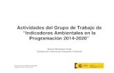 Actividades del Grupo de Trabajo de “Indicadores ... · Plenario Red Autoridades Ambientales Valladolid, 28 de marzo de 2014 Actividades del Grupo de Trabajo de “Indicadores Ambientales