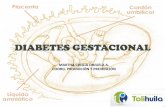 MARTHA CECILIA ORJUELA A. COORD. PROMOCIÓN Y …portal.tolihuila.com/wp-content/uploads/2018/09/2... · 2020-03-16 · •La diabetes es una enfermedad que aparece cuando el cuerpo