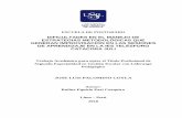 DIFICULTADES EN EL MANEJO DE ESTRATEGIAS …repositorio.usil.edu.pe/bitstream/USIL/8354/4/2018... · normas nacionales como la RSG N° 008-2016- Minedu, documento que establece los
