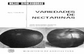 VARIEDADES · 2006-10-25 · VARIEDADES DE NECTARINAS Las nectarinas, de enorme actualidad, son conocidas en Chi-na desde hace 4 ó 5.000 años. Parece ser que los romanos introdujeron