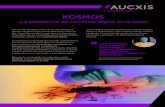 KOSMOS - aucxis.com brochures/Aucxis-KOS… · subastas computarizada, Moby-Clock, ...). Desarrollo continuo KOSMOS evoluciona junto con las necesidades del mercado y sus usuarios.