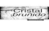 Cristal bruñido - biblat.unam.mx › hevila › Dimensionantropologica › 2017 › vol7… · 8 Véase su proyecto fotográfico Before They Pass Away, publicado en 2013. 9 Remco