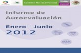Informe de Autoevaluación 1er semestre 2012...Informe de Autoevaluación 1er semestre 2012 4 2. Marco de referencia México dispone de una superficie forestal aproximada de 138 millones