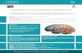 DIAGNÓSTICO DE MUERTE ENCEFÁLICA - UVirtualminsal.uvirtual.cl/file.php/1/Fichas_2017_VF/diagnostico_de_muerte_encefalica.pdfMódulo 2: Diagnóstico de Muerte Encefálica. Módulo