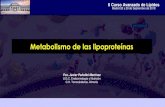 Metabolismo de las lipoproteínas - SEEN · Metabolismo de lipoproteínas • Vía Exógena/vía del quilomicrón: lípidos ingeridos en la dieta. • Vía Endógena: lípidos de