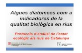 Algues diatomees com a indicadores de la qualitat ...aca-web.gencat.cat › aca › documents › ca › directiva_marc › ... · •representen el 80% de les espècies de les algues