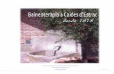 La Riera, 29 Caldes d’Estrac Maresme Barcelona Espanya › wp-content › uploads › 2016 › ... · fauna hidrotermal , integrada per micro i macroorganismes , com és ara el