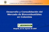 Desarrollo y Consolidación del Mercado de …...Desarrollo y Consolidación del Mercado de Biocombustibles en Colombia Bogotá, 22 de Agosto de 2007 REPÚBLICA DE COLOMBIA MINISTERIO