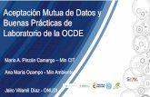 Aceptación Mutua de Datos y Buenas Prácticas de ...proyectos.andi.com.co/Ambiental/SiteAssets/7- AMD-BPL-OCDE.pdf · Gobierno en la reunión anual del Grupo de Trabajo BPL, (1ra