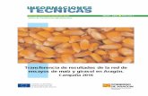 263-17 (Maiz 16) · El porcentaje de superficie sembrada de maíz OMG/no OMG en Aragón está prácticamente al 50% en maíz de primera cosecha, duplicándose la superficie de transgénico