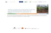 ENSAYO: TÉCNICAS DE PLANTACIÓN DE Morella faya EN … · 2017-10-03 · ENSAYO: TÉCNICAS DE PLANTACIÓN DE Morella faya EN REPOBLACIONES FORESTALES DE ZONAS INCENDIADAS DE GARAJONAY