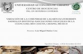 UNIVERSIDAD AUTÓNOMA DE CHIAPAS · 2018-05-02 · Tapachula Chiapas, a 28 de Noviembre del 2013 UNIVERSIDAD AUTÓNOMA DE CHIAPAS CENTRO DE BIOCIENCIAS Presenta: Luis Miguel Muños