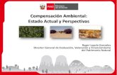 Compensación Ambiental: Estado Actual y Perspectivas · Plan de Compensación ... • Convenios para el desarrollo de casos de estudio: • Rio Tinto • PERU LNG • CSF, WCS, TNC