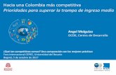 Hacia una Colombia más competitiva Prioridades para ... · Fuente: OCDE/CAF/ECLAC (2017), Perspectivas económicas de América Latina 2018: Repensando las Instituciones para el Desarrollo.
