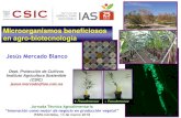 Microorganismos beneficiosos en agro-biotecnología · Microorganismos beneficiosos en agro-biotecnología + Pseudomonas - Pseudomonas Jornada Técnica Agroalimentaria “Innovación
