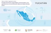 Presentación de PowerPointiki-alliance.mx/wp-content/uploads/Yucatan-ERAPY.pdf · • Promover paisajes bioculturales mayas en por lo menos 5,484,000 hectáreas ... Falta de información