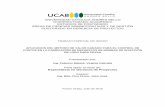UNIVERSIDAD CATÓLICA ANDRÉS BELLO ESTUDIOS DE POSTGRADO ÁREAS DE …biblioteca2.ucab.edu.ve/anexos/biblioteca/marc/texto... · 2018-02-06 · 2 CARTA DE ACEPTACIÓN DEL ASESOR