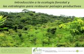 Introducción a la ecología forestal y las estrategias para ...elti.fesprojects.net/2014 Azuero_Oct/j.slusser_ecologia_forestal.pdfLa restauración ecológica es una actividad deliberada