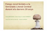 Fongs recol·lectats a la Serralada Litoral Central durant ... · Fongs recol·lectats a la Serralada Litoral Central durant els darrers 20 anys Núria BENAIGES, Imma VALLS i Jordi