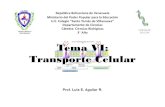 Tema VI: Transporte Celular - Guao IV- Transpor… · 3° Año Prof. Luis E. Aguilar R. Estructura de la Membrana Celular • El grosor de la membrana es 7.5 a 10 nanómetros (nm)