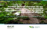 Perfiles jurisdiccionales de las regiones integrantes del ... · Emisiones –DBE- en las regiones con cobertura de bosque del Perú que son miembros del Grupo de Trabajo de los Gobernadores