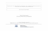 Tesis Doctoral Universidad de Zaragozazaguan.unizar.es › record › 5485 › files › TESIS-2010-057.pdf · 2014-11-20 ·  TDR-UZ