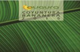 CONYUNTURA BANANERA 2015 · 2.3. ZONA MAGDALENA Y LA GUAJIRA 2.3.1. EXPORTACIONES Las exportaciones de banano desde la zona del Magdalena y la Guajira fueron de 25.9 millones de cajas