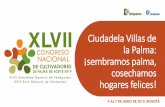 Ciudadela Villas de la Palma: Sembramos palma, cosechamos …web.fedepalma.org/sites/default/files/files/Fedepalma/... · 2019-06-11 · 1 5 4 3 2 8a 7 6 8b 1) CIC (Municipio) –2)