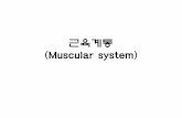 근육계통 (Muscular system) - KOCWcontents.kocw.net/KOCW/document/2014/Seowon/YoonWanyoung/... · 2016-09-09 · 근육계통 (Muscular system) Author: user Created Date: 7/8/2014