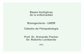 Bases biológicas de la enfermedad Bioingeniería - UNER ...Bases biológicas de la enfermedadBases biológicas de la enfermedad Muerte celularMuerte celular Necrosis y ApoptosisNecrosis