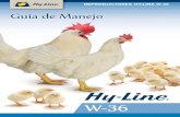 REPRODUCTORES HY-LINE W-36 Guía de Manejo...Consumo de Alimento por Docena de Huevos, 22–75 Semanas 1.31–1.39 kg 1.58–1.67 kg Los Datos de los Resúmenes de Rendimiento se basan