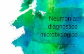 Neumonía: diagnóstico• Neumonía adquirida en la comunidad (NAC): causa importante de morbimortalidad, con una incidencia de 2-10 casos por 1.000 habitantes/año, cifra que se