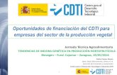 Oportunidades de financiación del CDTI para empresas del ... · consolidación de empresas de base tecnológica • Evaluación y financiación • Emisión de informes motivados