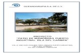 PROYECTO PATIO DE MANIOBRAS PUERTO INDUSTRIAL ISLA …sinat.semarnat.gob.mx/dgiraDocs/documentos/camp/estudios/... · 2014-02-13 · Hoy día el sistema portuario de Campeche tiene