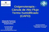 Oxigenoterapia - Cánula de Alto Flujo Termo humidificado (CAFO)a/Fraire... · 2018-05-11 · Oxigenoterapia - Cánula de Alto Flujo Termo humidificado (CAFO) Subsección Trastornos