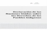 Declaración de las Naciones Unidas sobre los Derechos de ...site.inali.gob.mx/pdf/declaracion_universal... · Consejo aprobó el texto de la Declaración de las Naciones Unidas sobre
