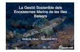La Gestió Sostenible dels Ecosistemes Marins de les Illes ......Ecosistemes Marins de les Illes Balears Mallorca, Dijous 1 desembre 2011. Siglo XIX: Optimismo Las pesquerías de bacalao,