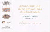 SOLICITUD DE ACCESO A LA INFORMACIÓN PÚBLICA DEL ESTADO DE …calkini.gob.mx/transparencia/obligaciones/22/2017... · 2018-01-19 · Para los efectos del cómputo de los plazos