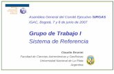 Grupo de Trabajo I - SIRGAS · 2017-08-25 · SIRGAS, Bogotá, 7 y 8 de junio de 2007 C. Brunini - 2 Resumen de la presentación Aguascalientes, Méjico, 9 y 10 de diciembre de 2004:
