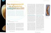 A fons La regeneració en planàries ] La regeneració en ... · alimentar-se pot recuperar la mida i les propi-etats cel·lulars d’un organisme més jove, ja que la major part