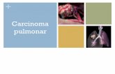 Carcinoma pulmonar - academia.cat › files › 425-620-DOCUMENT › Martinez-16-18mar10.pdfCarcinoma pulmonar + CPCNP: Diagnóstico ... Carcinoma célula pequeña Carcinoma escamoso